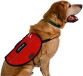 Service Dog Registration of America | SDRA