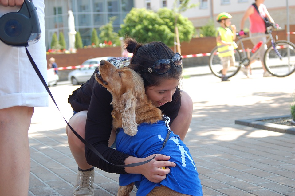 Best Service Dogs