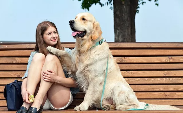 Best Service Dog