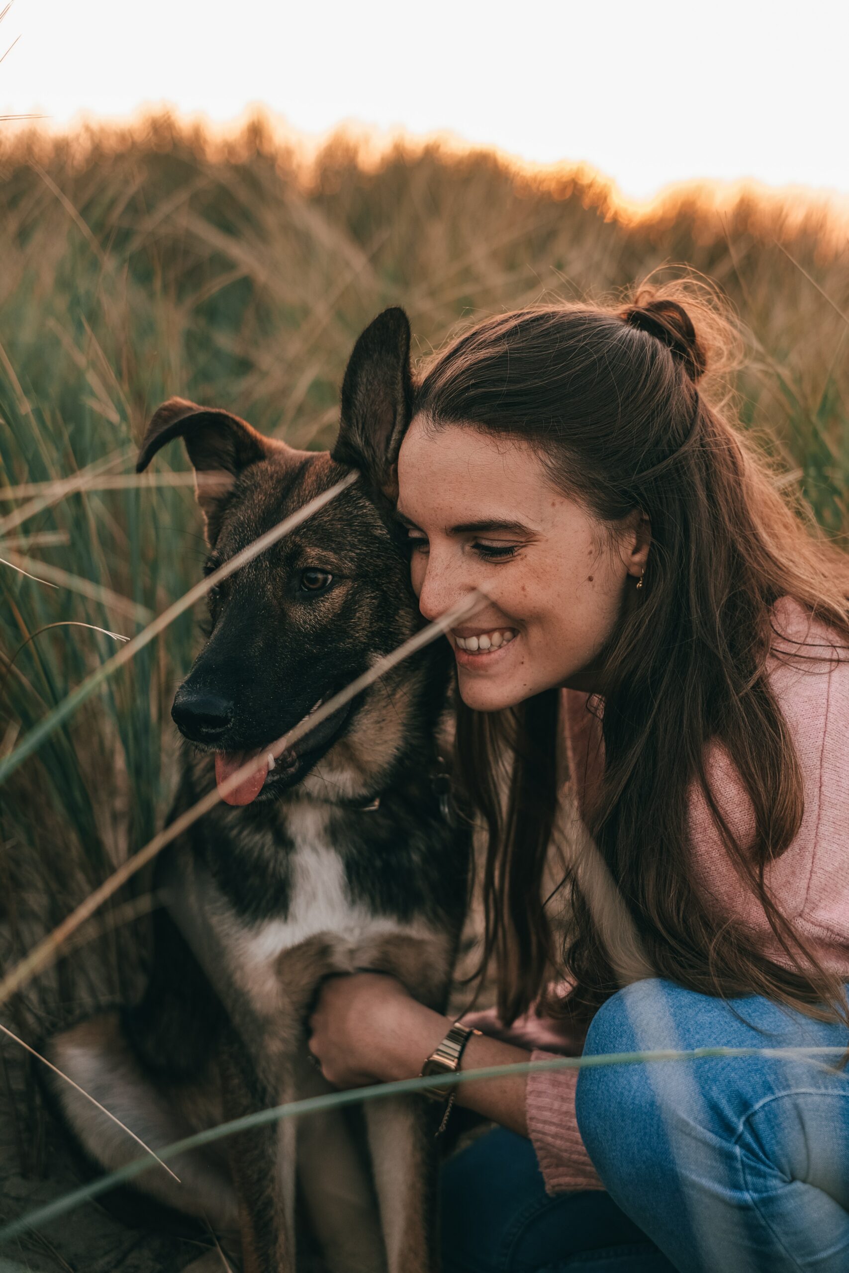 Best Service Dog Breeds