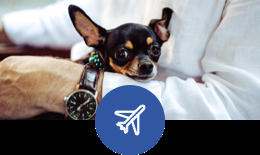 flying with your service dog flying with your service dog